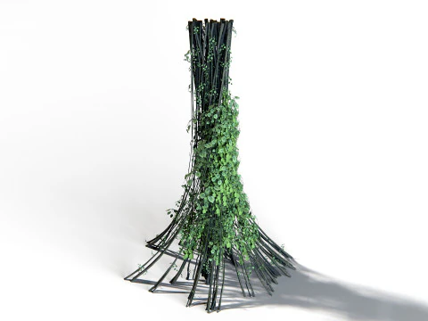 Pianta Liana 02 PBR Modello 3D