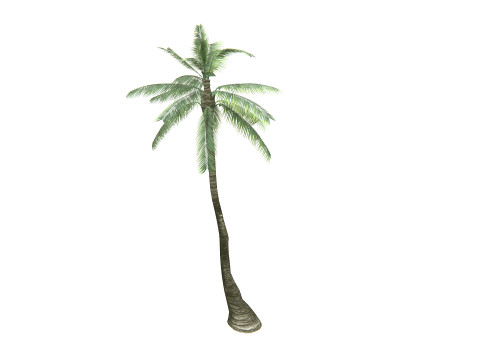 Palm Tree 01 PBR 3D Model