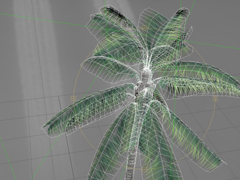 Palm Tree 01 PBR 3D Model