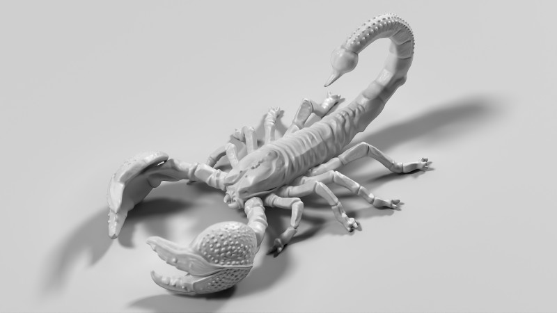 Скорпіон 02 STL 3D Принт Модель .c4d .max .obj .3ds .fbx .stl .blend 