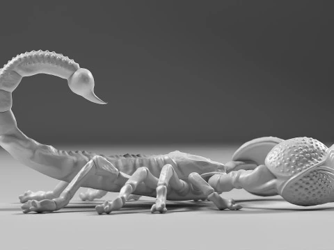 Scorpion 02 STL 3D Print Model