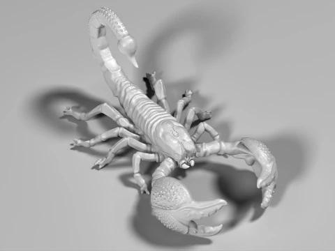 Scorpion 02 STL 3D Print Model