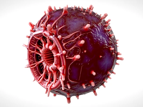 Cell 02 PBR 3D Model