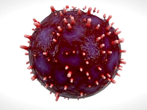 Cell 02 PBR 3D Model