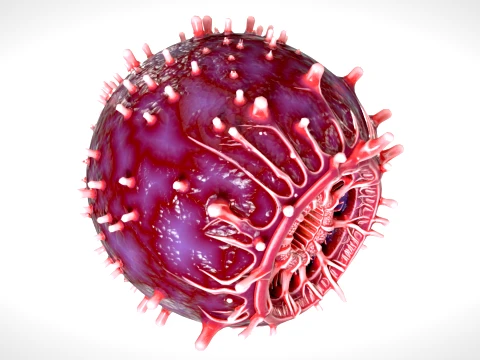 Cell 02 PBR 3D Model
