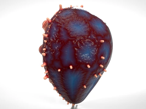 Cell 05 PBR 3D Model