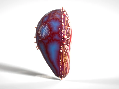Cell 05 PBR 3D Model