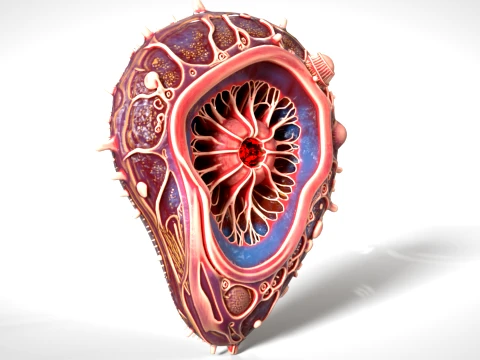 Cell 05 PBR 3D Model