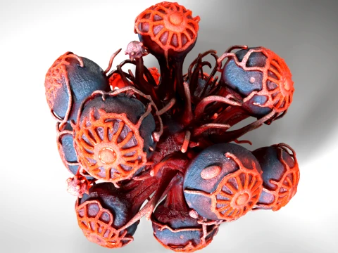 Cells Structure 01 PBR 3D Model