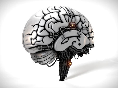 Cerebro cibernético 01 PBR Modelo 3D