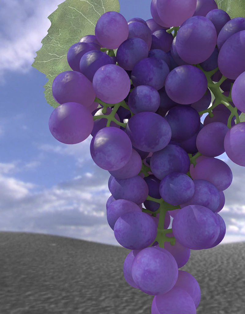 bunch of grapes 3D Model .c4d .max .obj .3ds .fbx .stl .blend 