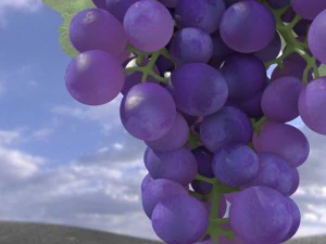 cacho de uvas Modelo 3D