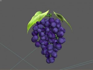 bunch of grapes Model 3D