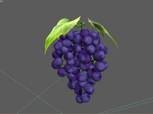 bunch of grapes 3D Model