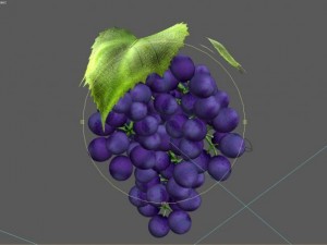 bunch of grapes Model 3D