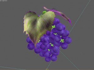 bunch of grapes Model 3D