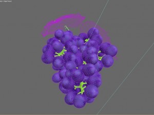 bunch of grapes Model 3D