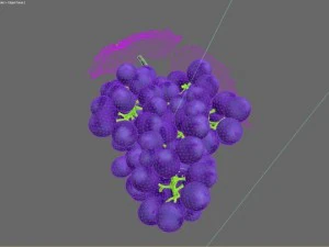 bunch of grapes 3D Model