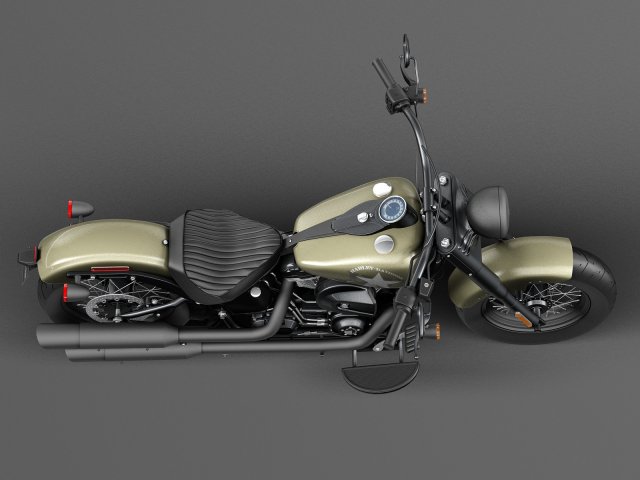 Softail slim s custom clearance