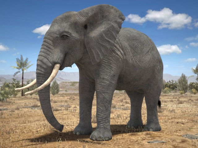 African Elephant Rigged for 3dsmax Modèle 3D .c4d .max .obj .3ds .fbx .stl .blend 