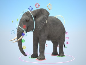 African Elephant Rigged for 3dsmax Modèle 3D