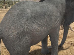 African Elephant Rigged for 3dsmax Modèle 3D