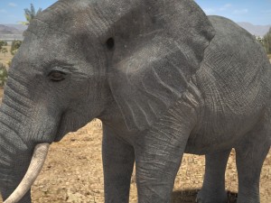 African Elephant Rigged for 3dsmax Modèle 3D