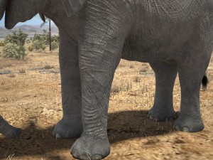African Elephant Rigged for 3dsmax Modèle 3D