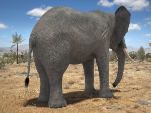 African Elephant Rigged for 3dsmax Modèle 3D