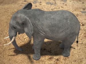 African Elephant Rigged for 3dsmax Modèle 3D