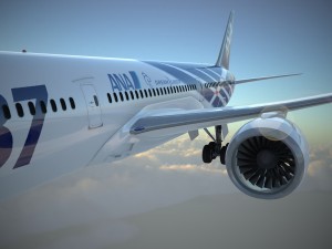 Boeing 787 Dreamliner Ana Airlines Model 3D