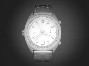 Tag Heuer Carrera 1972 3D Model