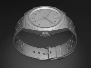 Tag Heuer Carrera 1972 3D Model