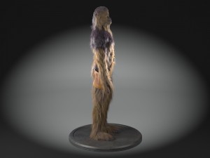 Star Wars Chewbacca 3dsmax Model 3D