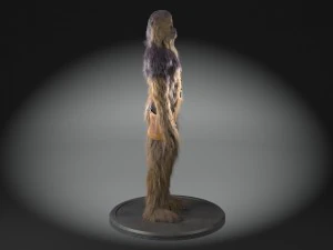 Star Wars Chewbacca 3dsmax 3D Model