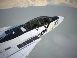 F-14a Tomcat VF-84 Jolly Rogers 1977 3D Model