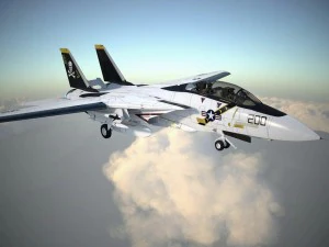 F-14a Tomcat VF-84 Jolly Rogers 1977 3D Model