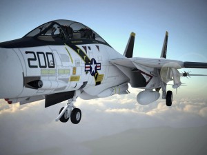 F-14a Tomcat VF-84 Jolly Rogers 1977 3D Model