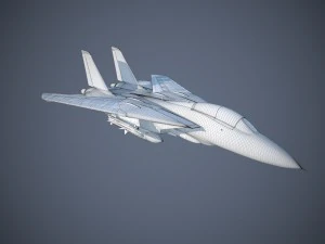 F-14a Tomcat VF-84 Jolly Rogers 1977 3D Model