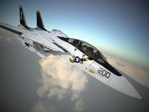 F-14a Tomcat VF-84 Jolly Rogers 1977 3D Model