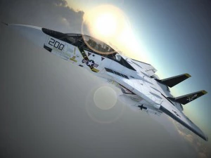F-14a Tomcat VF-84 Jolly Rogers 1977 3D Model