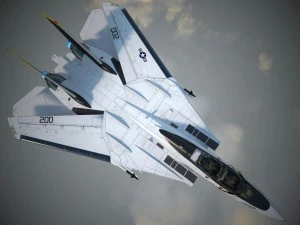 F-14a Tomcat VF-84 Jolly Rogers 1977 3D Model