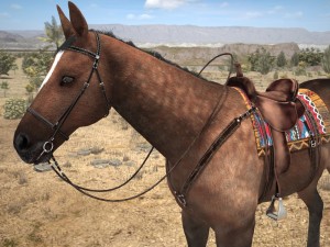 Cowboy Horse With Saddle 3D 모델