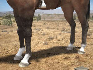 Cowboy Horse With Saddle 3D 모델
