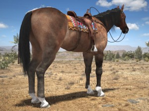 Cowboy Horse With Saddle 3D 모델
