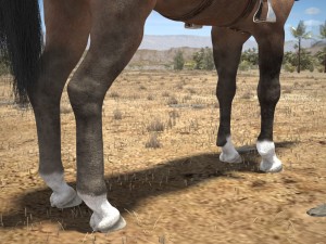 Cowboy Horse With Saddle 3D 모델