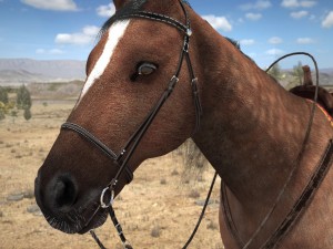Cowboy Horse With Saddle 3D 모델