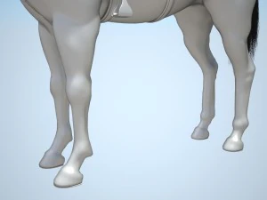 Kowbojski Koń Z Siodłem Model 3D
