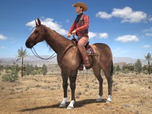 Cowboy On The Horse Model 3D
