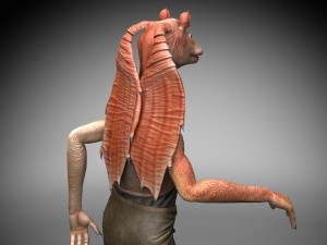 Star Wars Jar Jar Binks Model 3D
